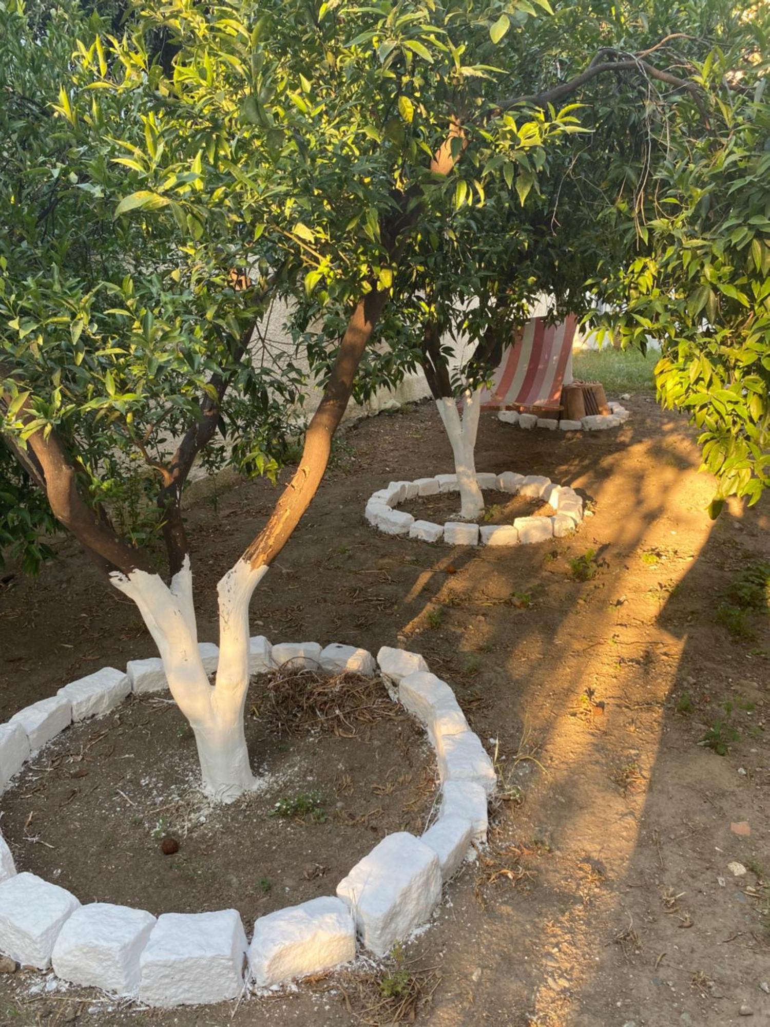 Best Located Ruby Luxury Escape Kalamata Exteriör bild