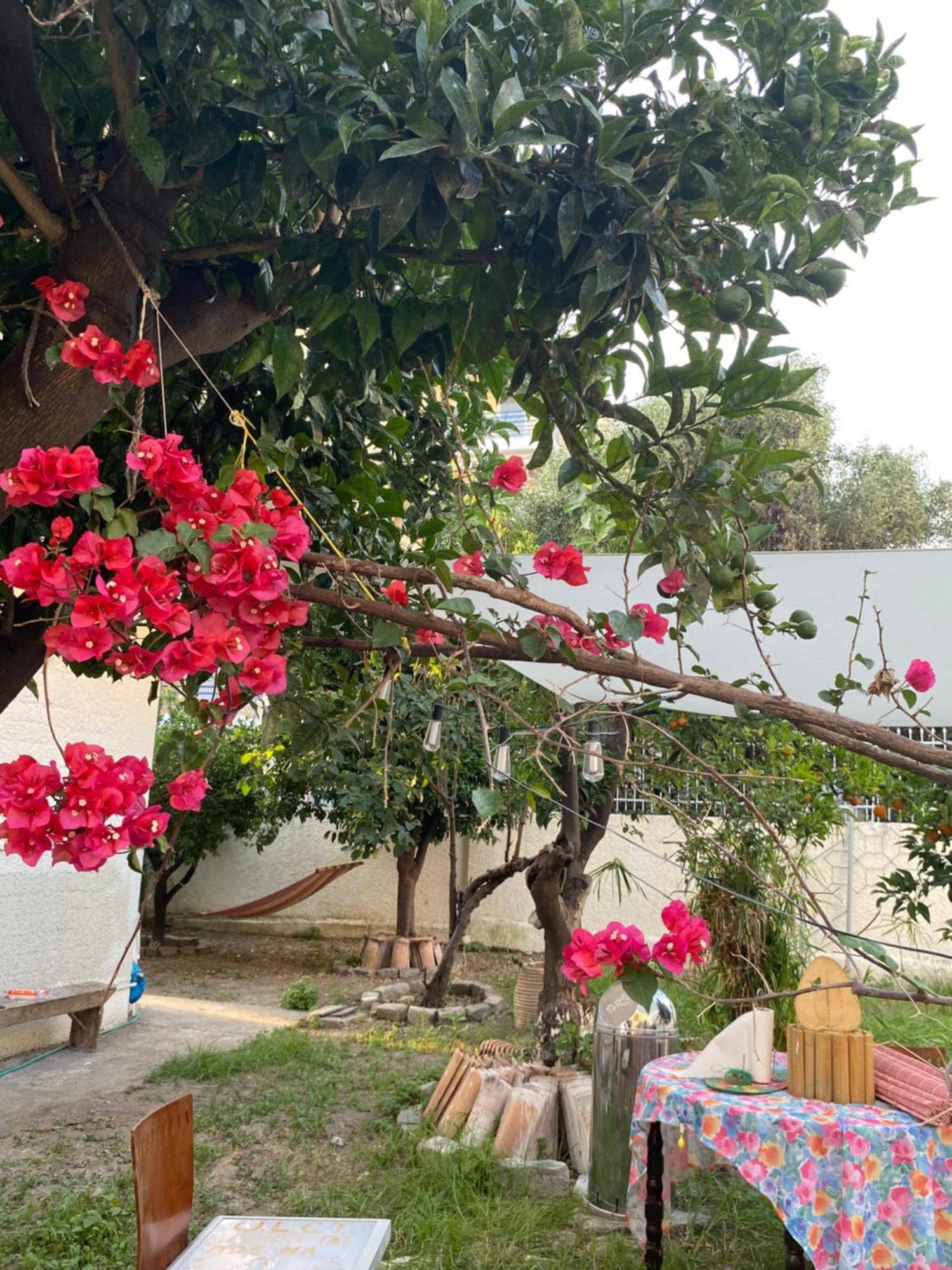 Best Located Ruby Luxury Escape Kalamata Exteriör bild